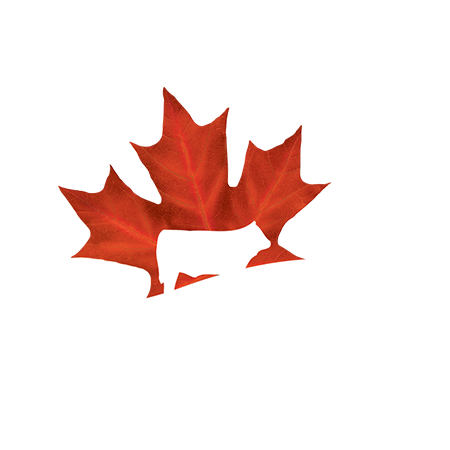 CRSB Certified