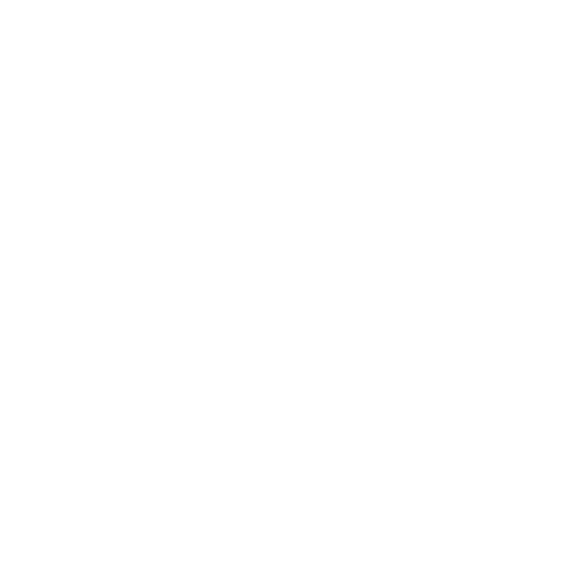 TikTok icon